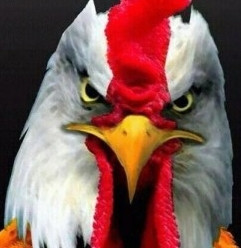Avatar do usuário